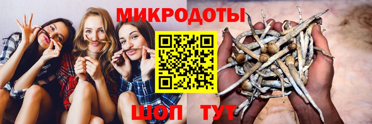 Мурино  Псилоцибиновые грибы Cubensis  Псилоцибиновые грибы Cubensis  Вход с VPN 